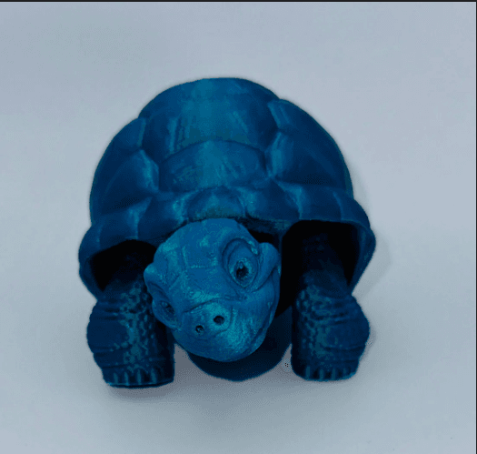 MMM Tortoise preview