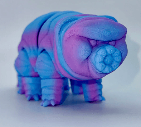 (WATER BEAR, MOSS PIGLET)