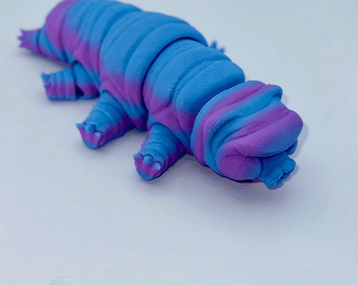 (WATER BEAR, MOSS PIGLET) preview