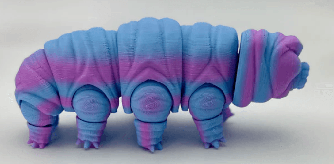 (WATER BEAR, MOSS PIGLET) preview